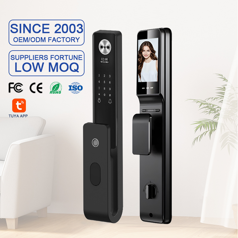 Cerradura Inteligente Tuya Wif – Smart Door Lock Wifi Bewertung und Preis